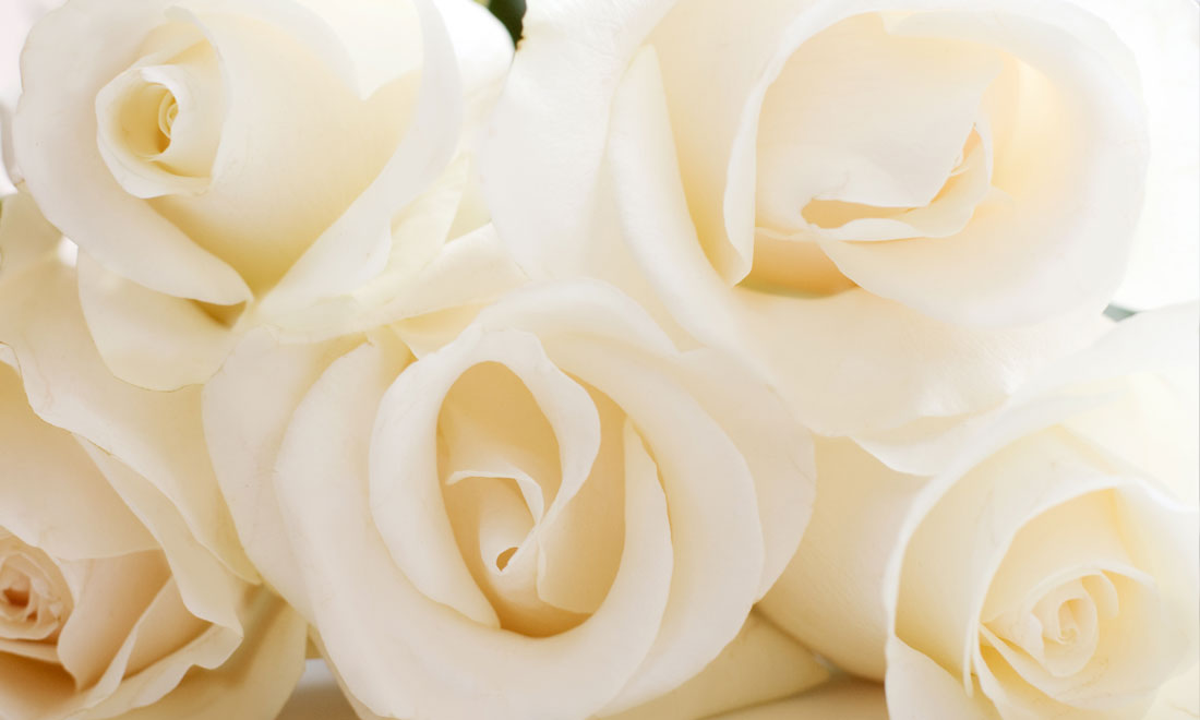 Sibuns Home Slider Roses